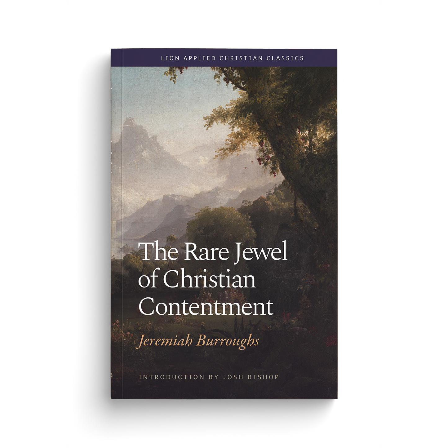 The Rare Jewel of Christian Contentment